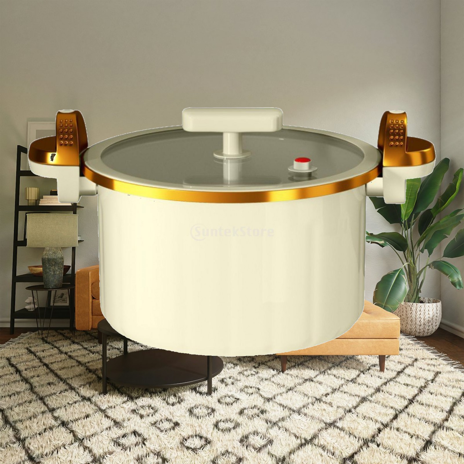 Micro Pressure Pot Stewing Boi - Instant Pot Pressure Cooker recension och pris